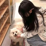 创世纪神荣耀版无限钻石版下载